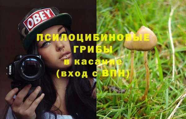 бутират Баксан
